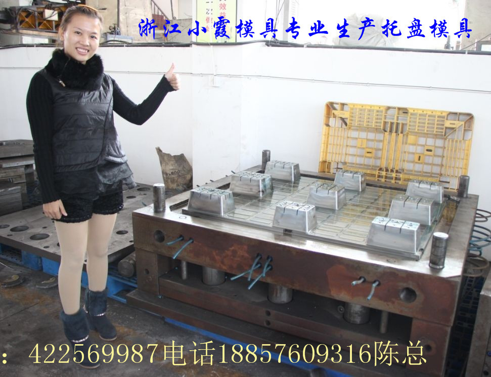 定做托盤(pán)模具電話18857609316 (2)